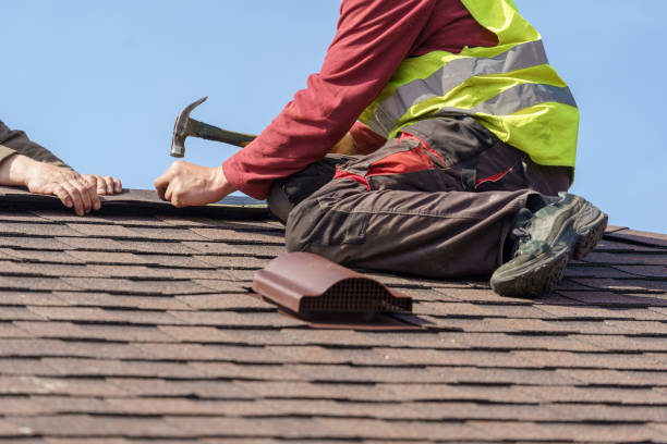 Professional Roofing Contractor in Horse Shoe, NC