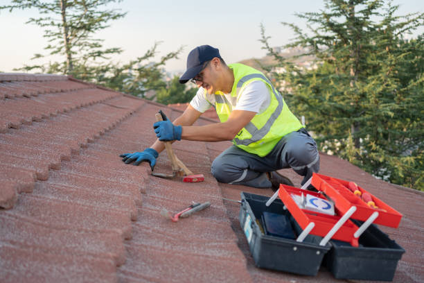 Best Storm Damage Roof Repair  in Horse Shoe, NC